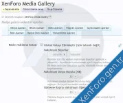 galary_3.webp