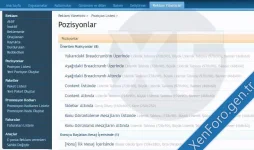 Ads_Manager_by_Siropu_turkce_yama_2.webp