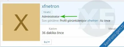 xenforo_admin_sil_6.webp