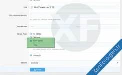 Xenforo 2 Navigasyon Rozeti admincp.webp