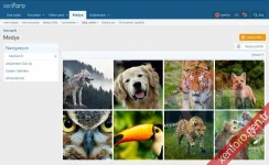 xenforo-media-gallery-1.webp