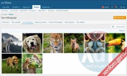 xenforo-media-gallery-3.webp