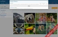 xenforo-media-gallery-4.webp