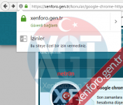 xenforo HTTPS uyarı1.png