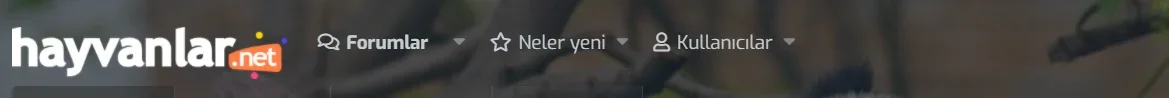 Ekran Alıntısı.PNG