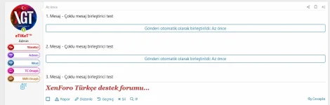 Çoklu gönderi birleştirici- demo.webp