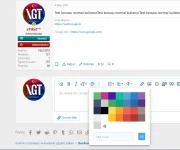 XenForo 2 Editorde yeni renkler.webp