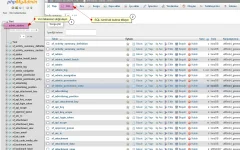 xenforo 2 sorgularını phpmyadmin nasıl çalıştırırım 3.png
