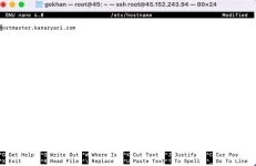 hostname1.png hostname1.png