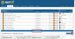 Screen Capture 003 - WordPress Forum - WordPress Türkiye - wptr.org.webp