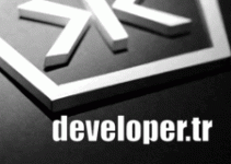 developer.gif