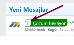1720351472900.webp
