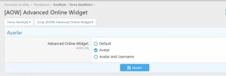 ThemeSettings.webp