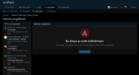 xgt_rm_dosya_indirme_sinirlari_tepki_sayisi.png