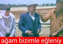 1788805901676.png 1788805901676.png