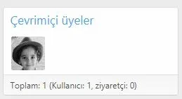 online_users_avatars_xenforo.webp