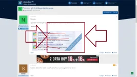 3.webp
