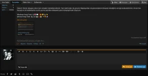 eklenti sorunu 2.webp