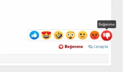 XenForo 2.1 Tepki sistemi - yeni tepki -sonuç.webp