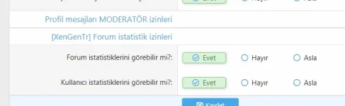 4.webp
