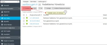 Xenforo Ples panel yeden nasıl alınır 2.webp