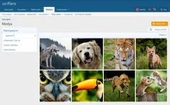xenforo-media-gallery-1.jpg