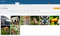 xenforo-media-gallery-3.jpg