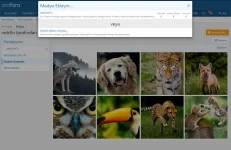 xenforo-media-gallery-4.jpg