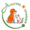Forum İstatistik Eklentisi Konu Başlığı Rengi Değiştirme